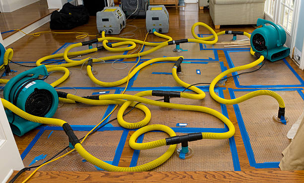Professional Crawl Space Water Removal technician working in Palm Beach Gardens, FL